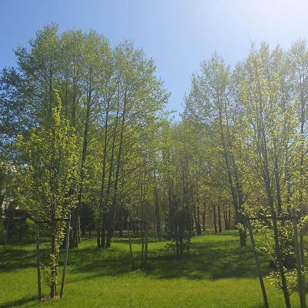 Apartament 3 Pokojowy Lub Pokoj W Mieszkaniu W Nowym Bloku Varşova Dış mekan fotoğraf